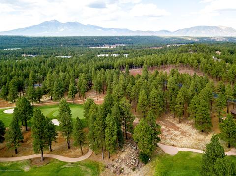 3685 Lariat Loop, Flagstaff, AZ 86005 photo 7