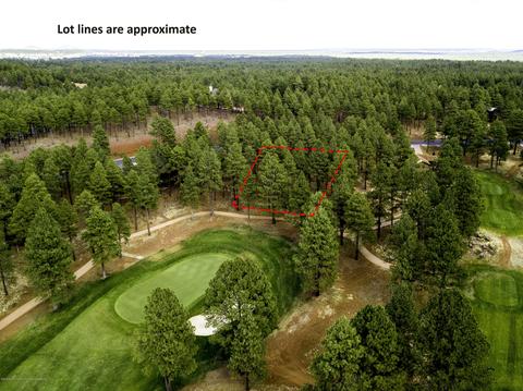 3685 Lariat Loop, Flagstaff, AZ 86005 photo 10