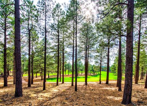 3685 Lariat Loop, Flagstaff, AZ 86005 photo 13