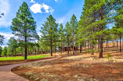 3685 Lariat Loop, Flagstaff, AZ 86005 photo 15