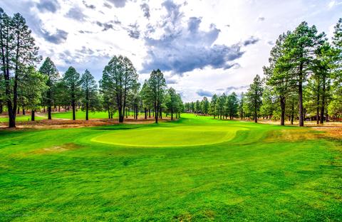 3685 Lariat Loop, Flagstaff, AZ 86005 photo 14