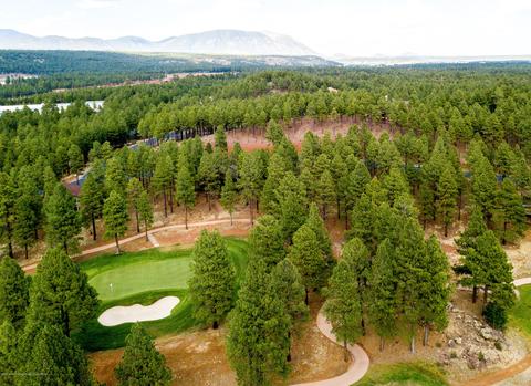 3685 Lariat Loop, Flagstaff, AZ 86005 photo 9