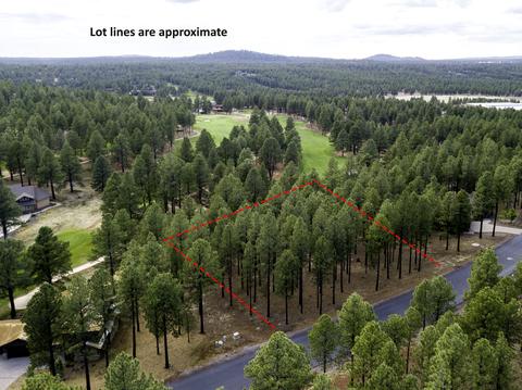 3685 Lariat Loop, Flagstaff, AZ 86005 photo 3