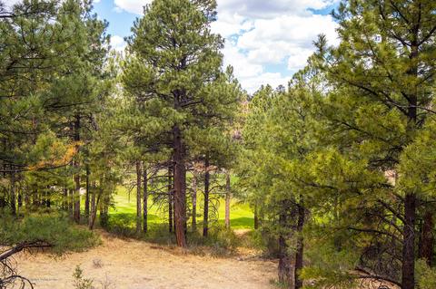 4341 E Burning Tree Loop, Flagstaff, AZ 86004 photo 4