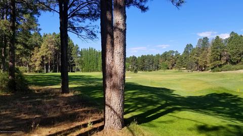 4341 E Burning Tree Loop, Flagstaff, AZ 86004 photo 45