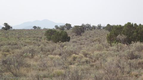 894 E Valle Rd, Williams, AZ 86046 photo 6