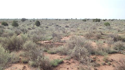 894 E Valle Rd, Williams, AZ 86046 photo 4