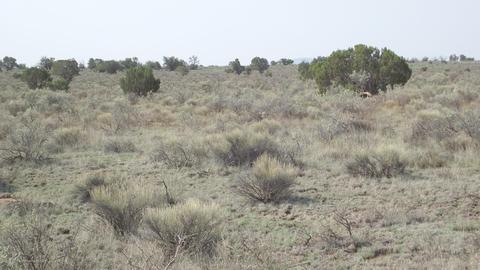 894 E Valle Rd, Williams, AZ 86046 photo 3