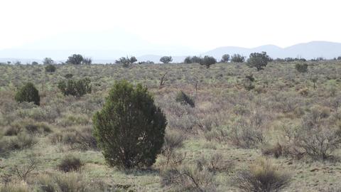 894 E Valle Rd, Williams, AZ 86046 photo 1