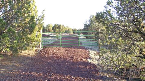 276 E Orchid Dr, Williams, AZ 86046 photo 1