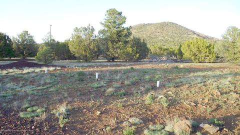 276 E Orchid Dr, Williams, AZ 86046 photo 5