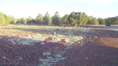276 E Orchid Dr, Williams, AZ 86046 photo 2