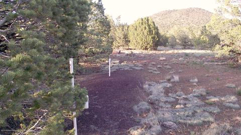 276 E Orchid Dr, Williams, AZ 86046 photo 3