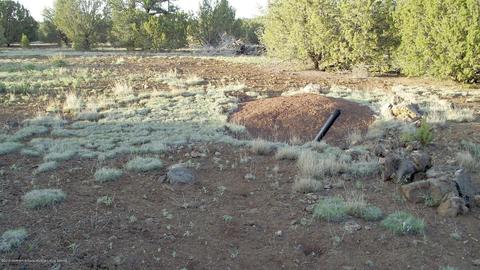 276 E Orchid Dr, Williams, AZ 86046 photo 4