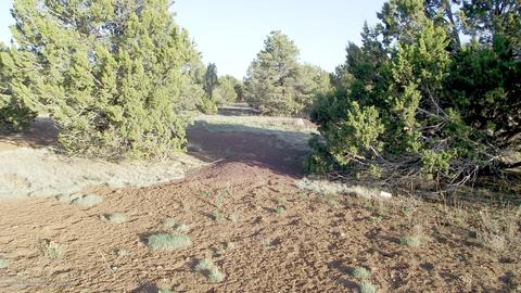 427 E Orchid Dr, Williams, AZ 86046 photo 7