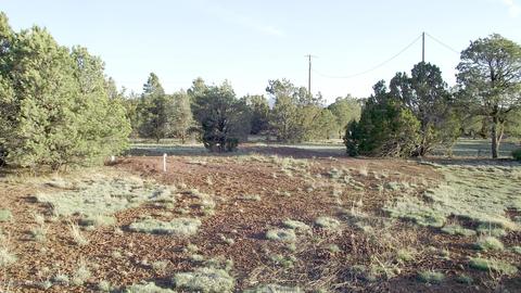 427 E Orchid Dr, Williams, AZ 86046 photo 4