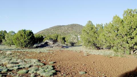 427 E Orchid Dr, Williams, AZ 86046 photo 6