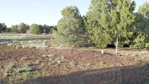 427 E Orchid Dr, Williams, AZ 86046 photo 2