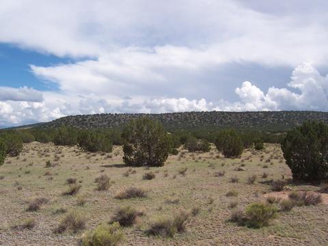 14163 Howard Mesa Loop, Williams, AZ 86046 photo 31