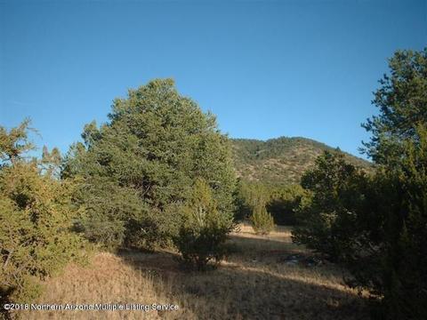 224 E Riverside Dr, Williams, AZ 86046 photo 4