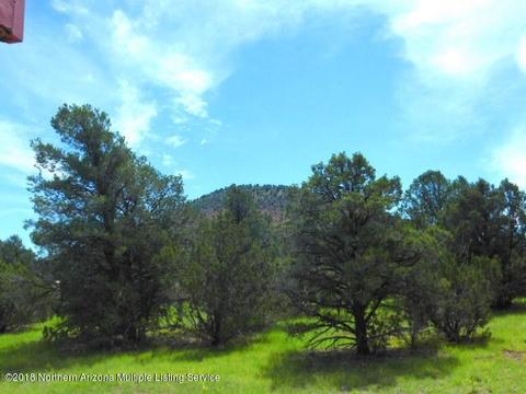 224 E Riverside Dr, Williams, AZ 86046 photo 7