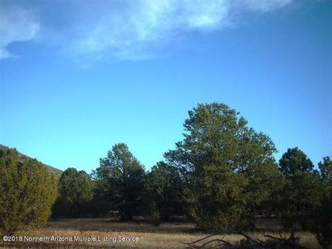 224 E Riverside Dr, Williams, AZ 86046 photo 3