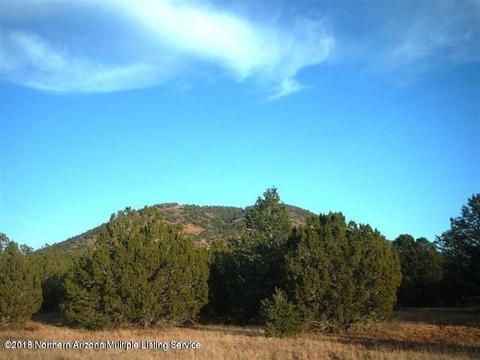 224 E Riverside Dr, Williams, AZ 86046 photo 2