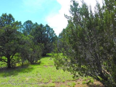 224 E Riverside Dr, Williams, AZ 86046 photo 5