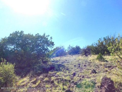 224 E Riverside Dr, Williams, AZ 86046 photo 8