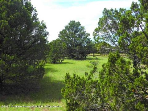 224 E Riverside Dr, Williams, AZ 86046 photo 1