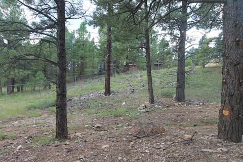 41 E Tranquil Ln, Flagstaff, AZ 86001 photo 21