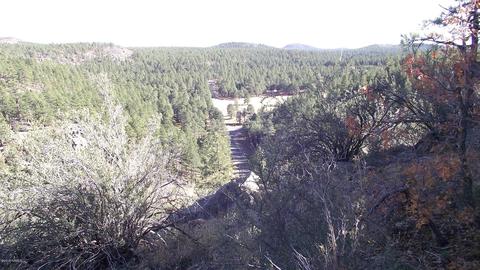1614 Canyon View Loop, Williams, AZ 86046 photo 6
