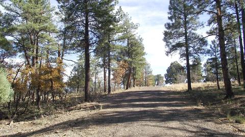 1614 Canyon View Loop, Williams, AZ 86046 photo 12