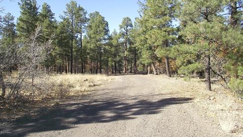 1614 Canyon View Loop, Williams, AZ 86046 photo 11