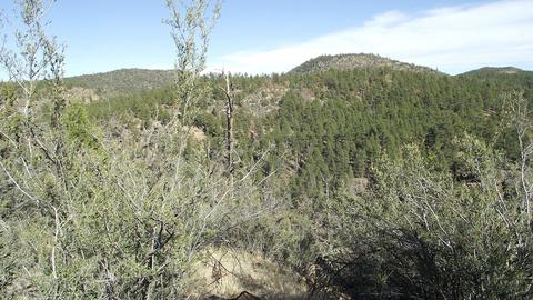 1614 Canyon View Loop, Williams, AZ 86046 photo 7