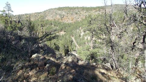 1614 Canyon View Loop, Williams, AZ 86046 photo 5