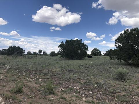 12967 Howard Mesa Loop, Williams, AZ 86046 photo 4