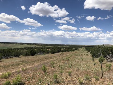 12967 Howard Mesa Loop, Williams, AZ 86046 photo 2