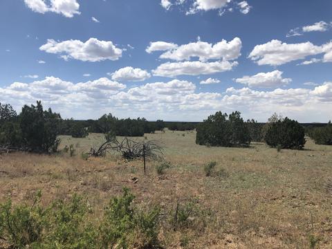 12967 Howard Mesa Loop, Williams, AZ 86046 photo 3