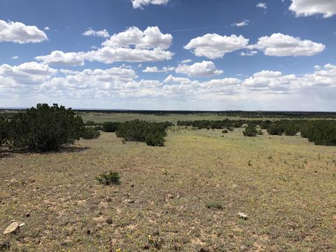 12967 Howard Mesa Loop, Williams, AZ 86046 photo 1