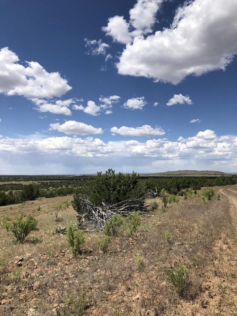 12967 Howard Mesa Loop, Williams, AZ 86046 photo 5