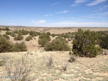 5314 Black Burro Loop Loop, Williams, AZ 86046 photo 1