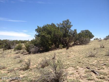 5314 Black Burro Loop Loop, Williams, AZ 86046 photo 5