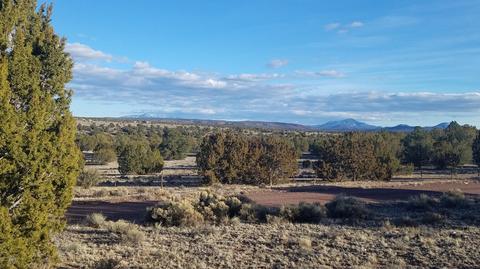 5246 Jackrabbit Dr, Williams, AZ 86046 photo 9