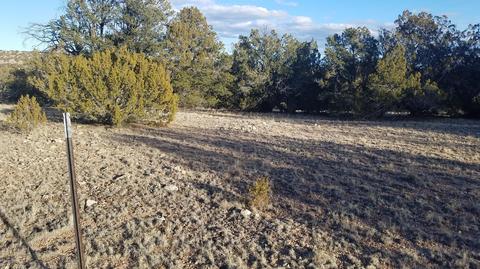 5246 Jackrabbit Dr, Williams, AZ 86046 photo 2