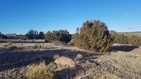 5246 Jackrabbit Dr, Williams, AZ 86046 photo 11