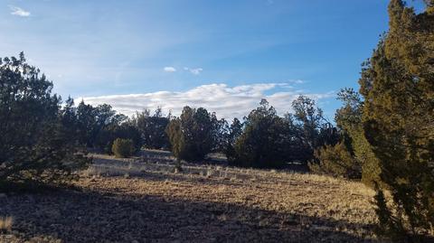 5246 Jackrabbit Dr, Williams, AZ 86046 photo 8
