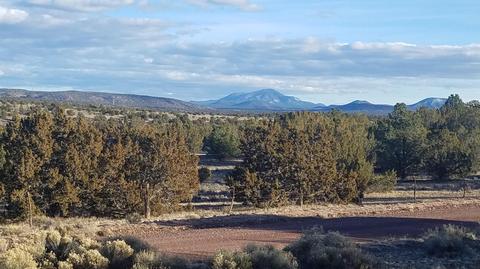 5246 Jackrabbit Dr, Williams, AZ 86046 photo 10