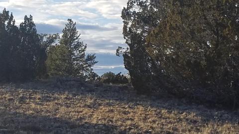5246 Jackrabbit Dr, Williams, AZ 86046 photo 7
