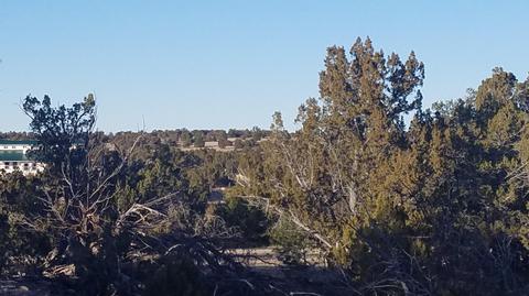 5246 Jackrabbit Dr, Williams, AZ 86046 photo 5
